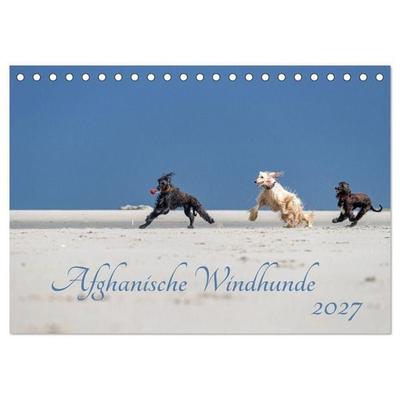 AFGHANISCHE WINDHUNDE 2027 (Tischkalender 2027 DIN A5 quer), CALVENDO Monatskalender