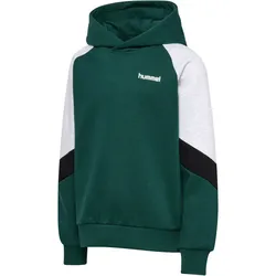 hummel hmlJR Loose Blocked Hoodie Kinder 6712 - june bug 158/164