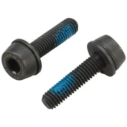 CAMPAGNOLO Schrauben für Flat Mount Bremssattel hinten | 24 mm