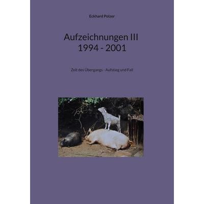 Aufzeichnungen III; 1994 - 2001, Taschenbuch von Eckhard Polzer, Twentysix Epic, 978-3-7407-2468-9