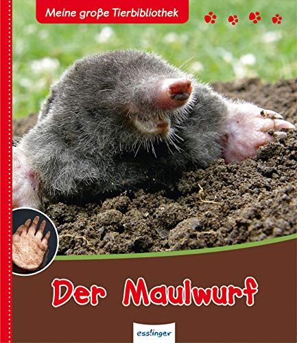 Poschadel, Dr. Jens - Der Maulwurf - Meine große Tierbibliothek - Preis vom 15.10.2026 23:06:25 h