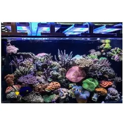 Aquavie GrassyCore Sealight (LED, 148 W), Aquariumbeleuchtung