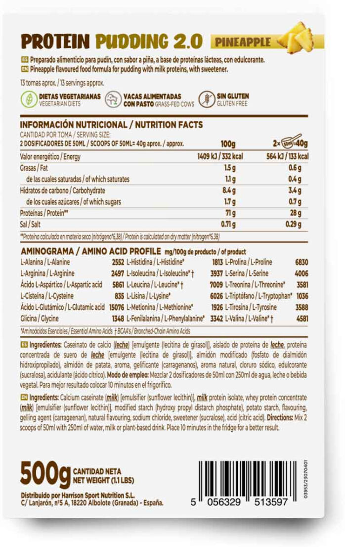 HSN Pudding proteico 2.0 500g piña - Recetas Saludables - Polvo - 13  Servicios