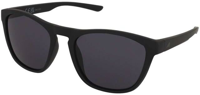 Alpina Gleam Black Matt/Black