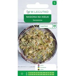 Keimsaat – Linsen