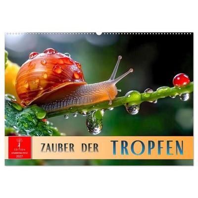 Zauber der Tropfen (Wandkalender 2027 DIN A2 quer), CALVENDO Monatskalender