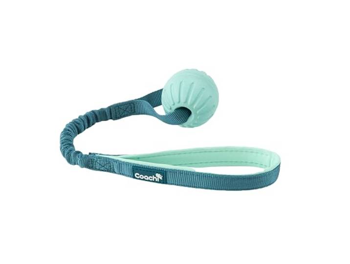 Coachi Puppy & Mini Tuggi Ball Voor trekken en spelen met uw hond