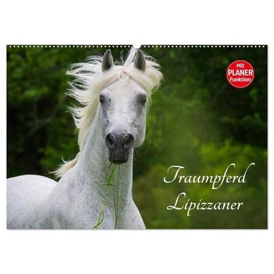 Traumpferd Lipizzaner (Wandkalender 2027 DIN A2 quer), CALVENDO Monatskalender