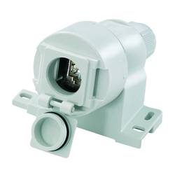 Weidmüller 8808370000 Anschlussstecker Buchse 1 St.