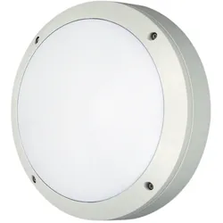 Ceag Notlichtsysteme Sicherheitsleuchte 84022.1 LED CG-S