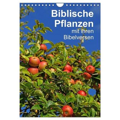 Biblische Pflanzen mit ihren Bibelversen (Wandkalender 2027 DIN A4 hoch), CALVENDO Monatskalender