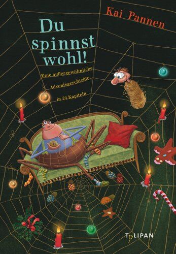 Kai Pannen - Du spinnst wohl!: Eine außergewöhnliche Adventsgeschichte in 24 Kapiteln (Kinderroman) - Preis vom 14.10.2026 23:07:16 h