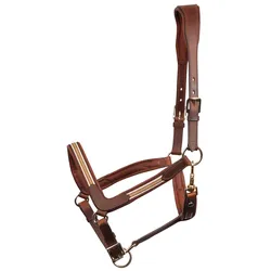 Harrys Horse Leder Halfter Flash braun, Größe: Cob