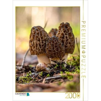 CALVENDO Puzzle Morcheln und Schnecke | 2000 Teile Lege-Größe 90x67cm Foto-Puzzle für glückliche Stunden