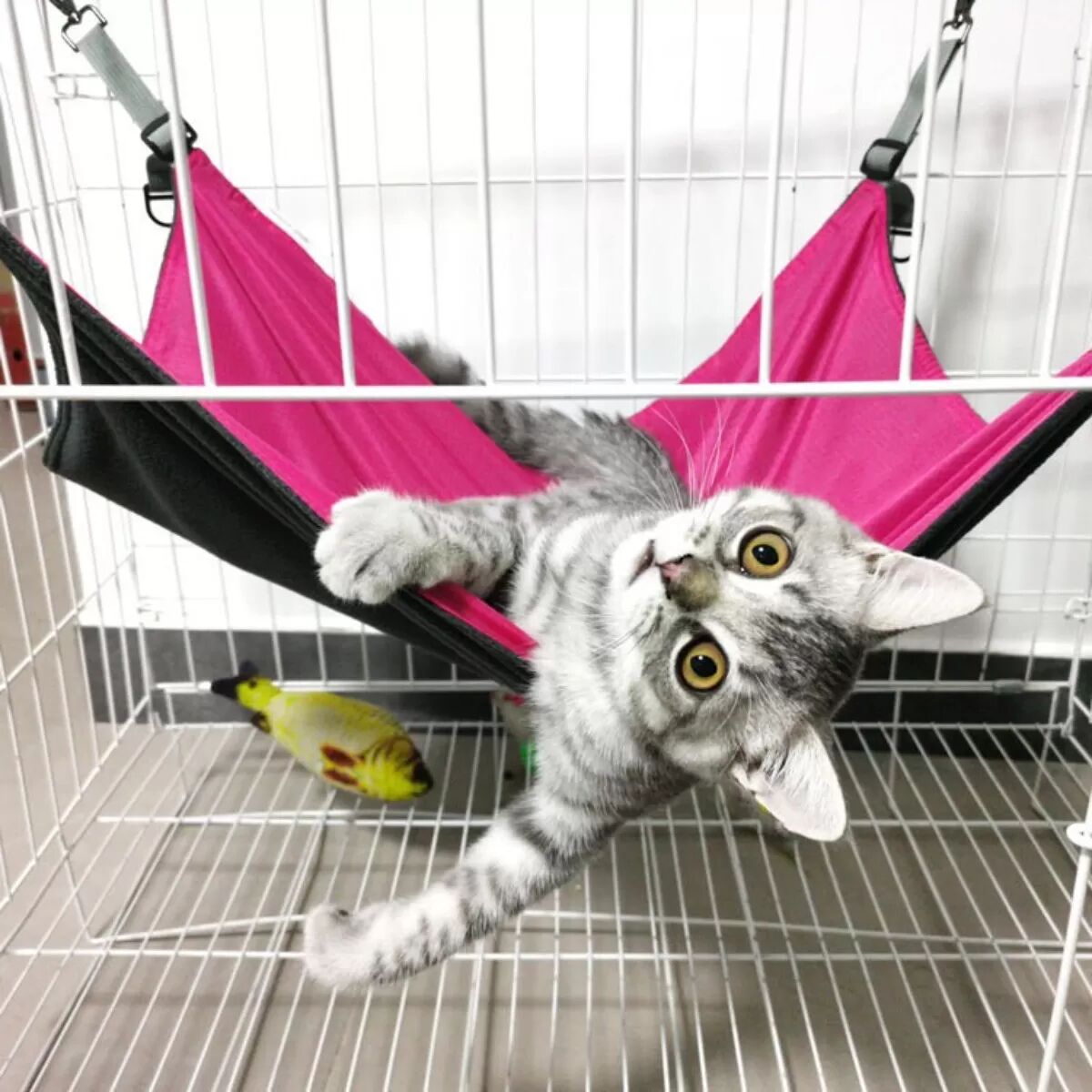 INF Hamac Suspendu Réglable pour Chat - Lit Doux en Peluche et Robuste Rouge