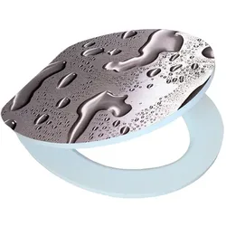 WC-Sitz Grey Steel Holz Grau