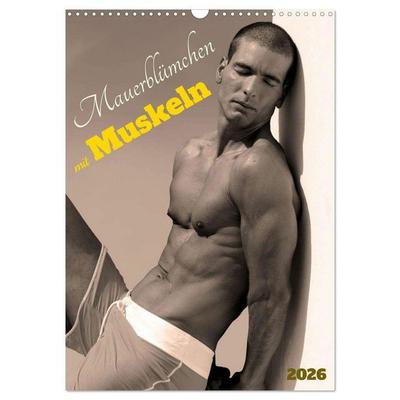 Mauerblümchen mit Muskeln (Wandkalender 2026 DIN A3 hoch), CALVENDO Monatskalender