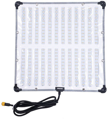 Amaran F22c (EU)