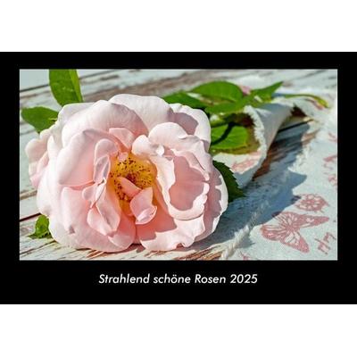 Strahlend schöne Rosen 2025 Fotokalender DIN A3