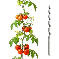 Relaxdays Tomaten Spiralstab im Set 170 cm Silber