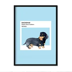 POSTER Hunde Illustrationen – Dackel A3 Rahmenlos