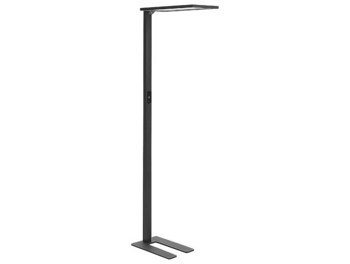 Beliani Stehleuchte Orion 30/61/196 cm, Schwarz, Metall, LED integrated, 61x196x30 cm, Lampen & Leuchten, Innenbeleuchtung, Stehlampen