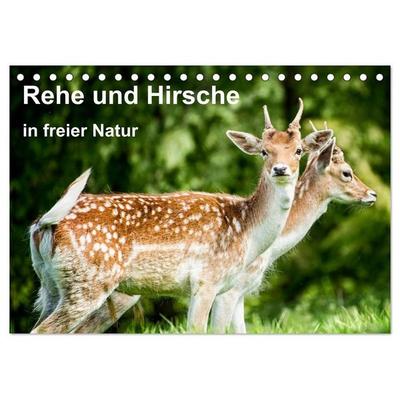 Rehe und Hirsche in freier Natur (Tischkalender 2027 DIN A5 quer), CALVENDO Monatskalender