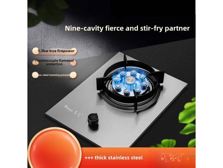 Cuisinière à gaz simple en acier inoxydable, gaz liquéfié naturel, feu domestique artificiel intégré