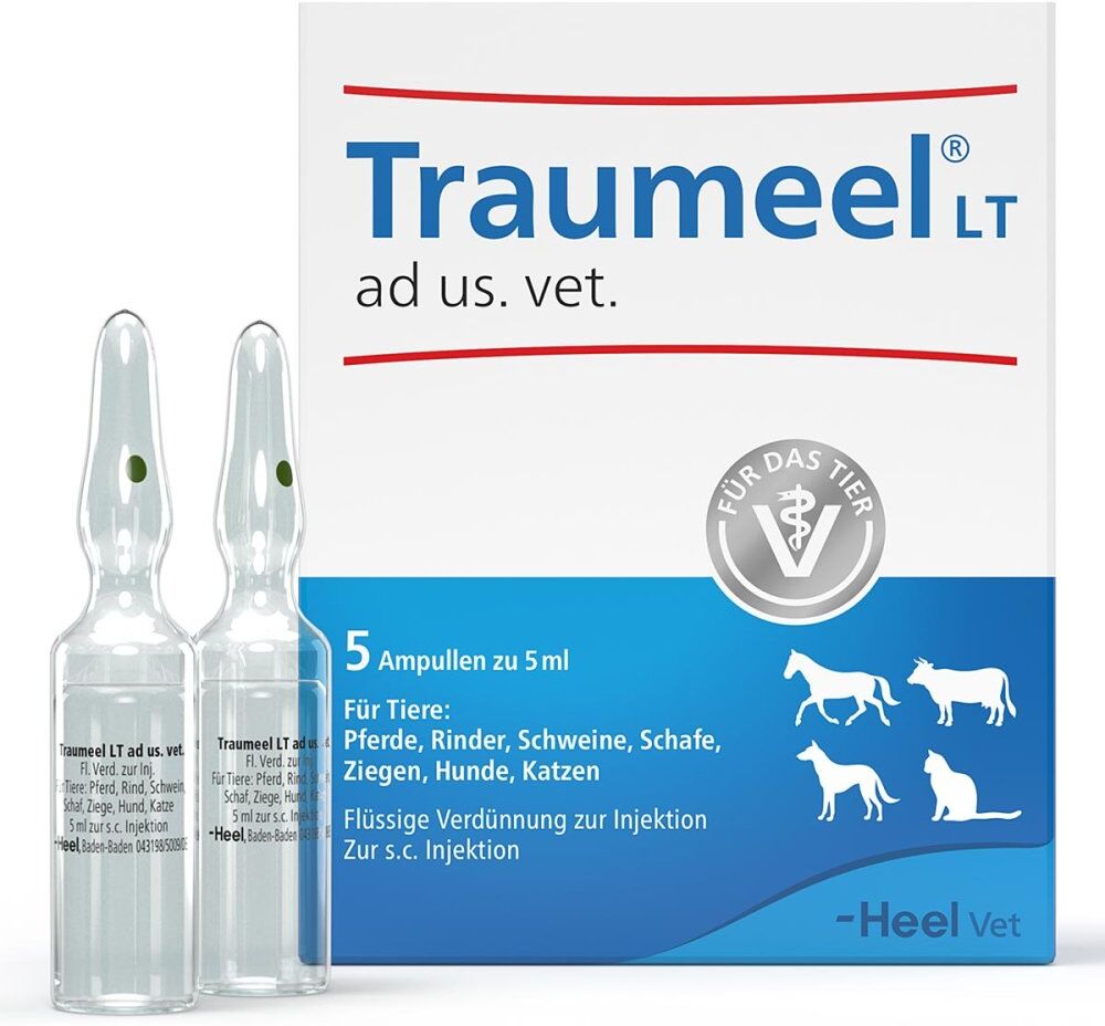 Traumeel Lt Ampullen veterinär