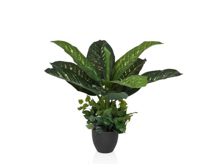 hjh OFFICE Plante Artificielle 80cm DIEFFENBACHIA Plante d'intérieur Tropicale Artificielle\, Plante décorative en Pot Noir