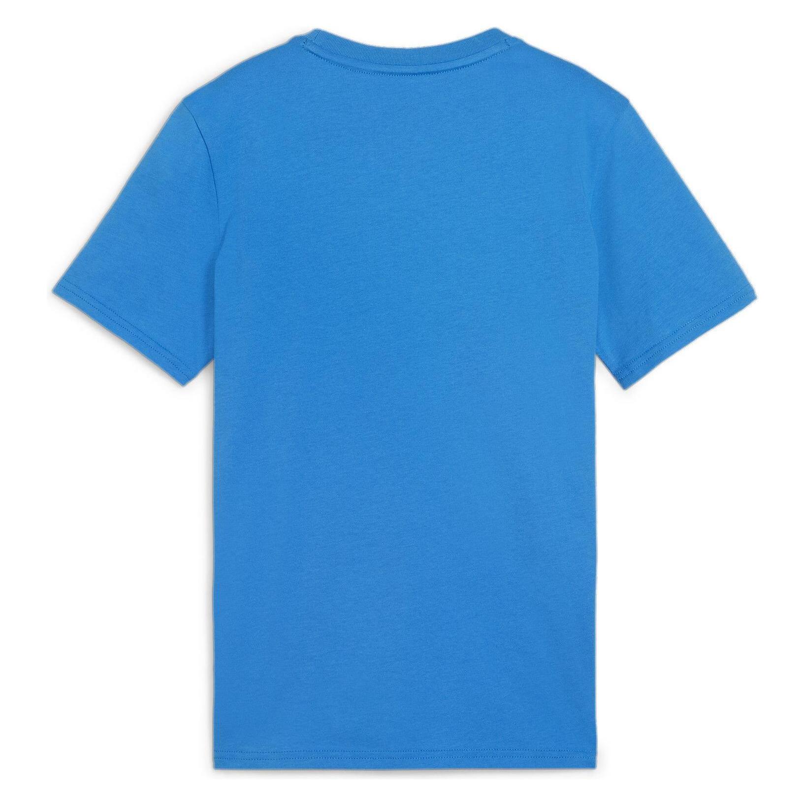 Puma teamGOAL Casuals Tee Jr (152) (658616_02)