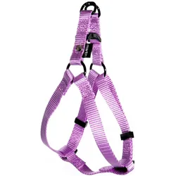Martin Sellier Clas (S, Hund, Spazieren), Halsband + Leine