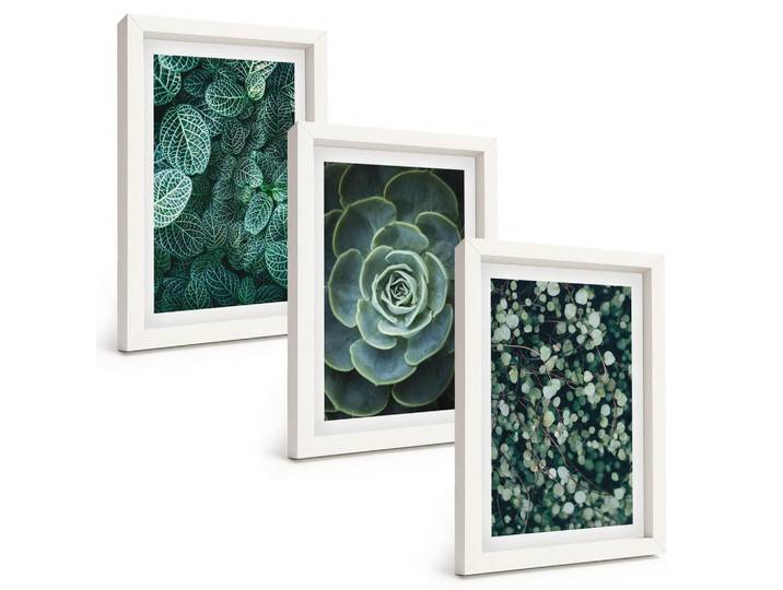 Tulup Bilder SET 3er Set - 20x30 cm Weißer Rahmen - Sukkulenten, Kunststoff, Rechteckig, 20x30 cm, gerahmt, Bilder & Rahmen, Bilder