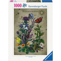 Puzzle - Lebenskreis Schmetterling 1000 Teile
