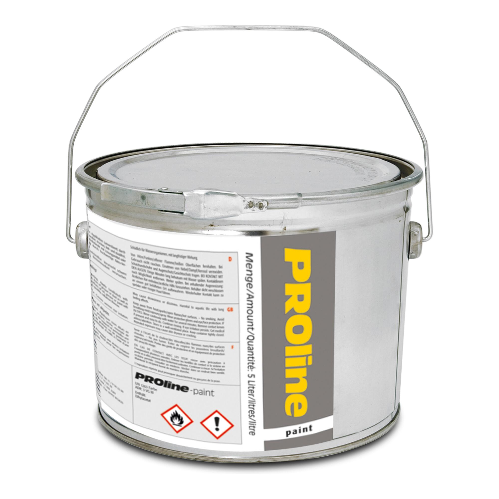 Moravia Hallenmarkierfarbe PROline-paint 5 l silbergrau RAL 7001 (263.13.740)