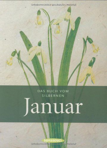 Liane Dirks - Das Buch vom silbernen Januar - Preis vom 09.10.2026 07:28:09 h