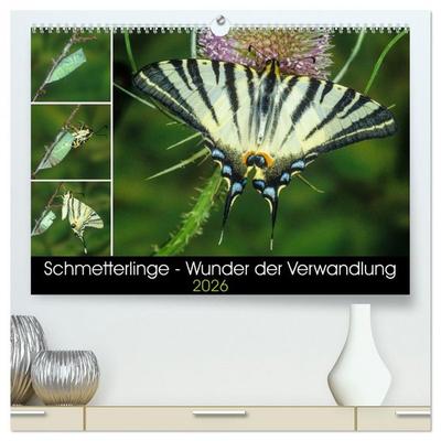 Schmetterlinge - Wunder der Verwandlung (hochwertiger Premium Wandkalender 2026 DIN A2 quer), Kunstdruck in Hochglanz
