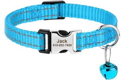 Uplifted Finds Safe Track Customized ID Module blue