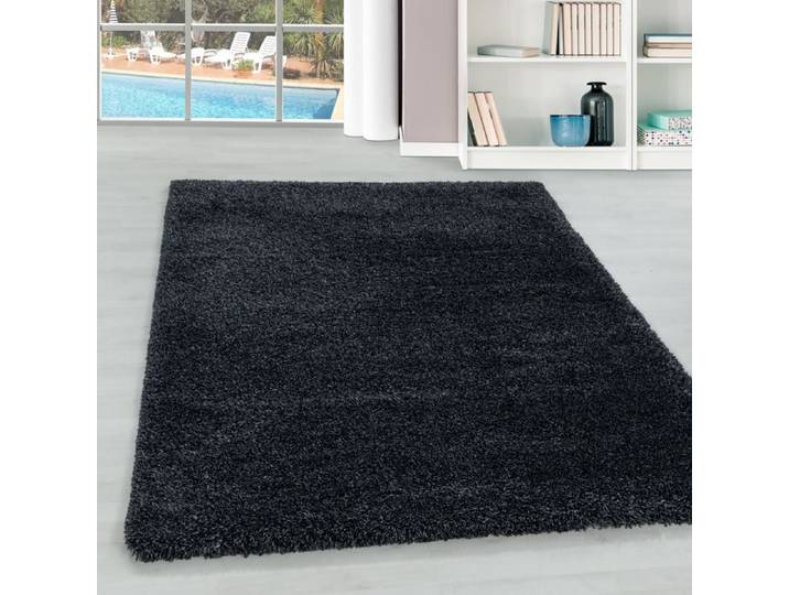 Teppium Tapis Shaggy unicolore Anthracite Tapis 280x370 cm Tapis Salon Chambre Doux à Poils Longs