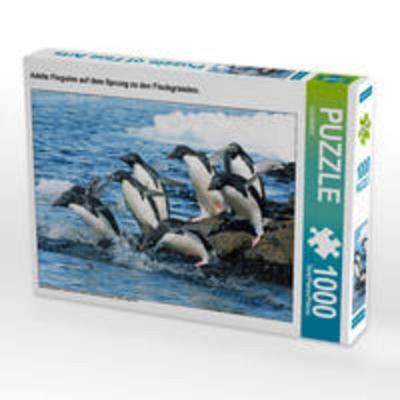 CALVENDO Puzzle Adelie Pinguine auf dem Sprung zu den Fischgründen. 1000 Teile Lege-Größe 64 x 48 cm Foto-Puzzle Bild von CALVENDO