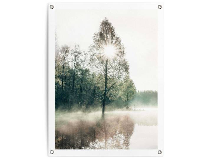 Poster REINDERS Sonne durch die Bäume , grün (farbe bild(er): grün), B:60cm H:80cm T:0,1cm, Leinwand, Bilder, Poster, Outdoor für Garten oder Balkon