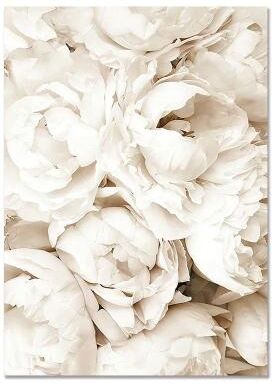 Uplift Picks Nordic Beach Canvas Wall Art Minimalist Shell Flower Prints Decor 06 40x50 Cm