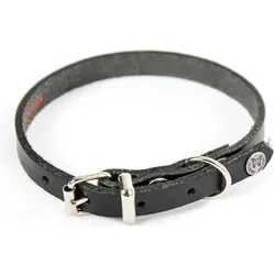 Martin Sellier Hundehalsband aus Leder (45, Hund, Spazieren), Halsband + Leine