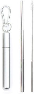 Fusion Finds Reusable Telescopic Stainless Steel Drinking Straw Set With Carry Case And Cleaning Brush For Water, Coffee, Milk, Milks Color: Silver silver