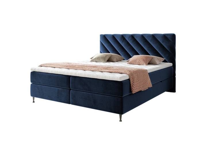 BOXBETT Enzo - H3