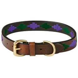 Weatherbeeta Polo (XL, Hund, Allgemein), Halsband + Leine