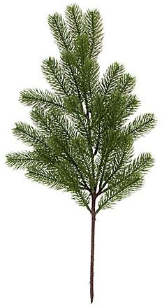 Tannenzweig, 60 cm