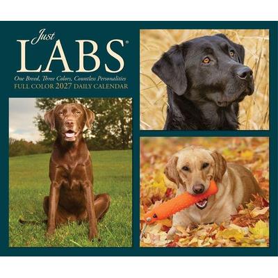 Just Labs 2027 5.4 X 6.2 Box Calendar