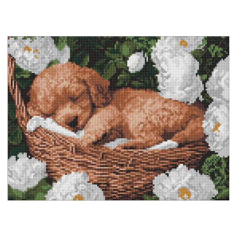 Ideyka Diamond Painting Schlafender Pudel 30 x 40 mit Rahmen (AMO8170)