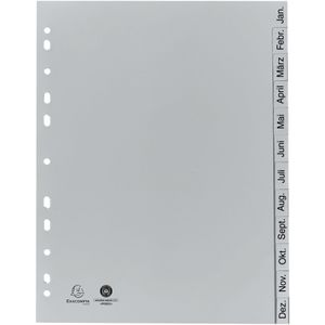 Exacompta Register 1812B, A4, Jan.-Dez., Recycling-Kunststoff, 12-teilig, grau
